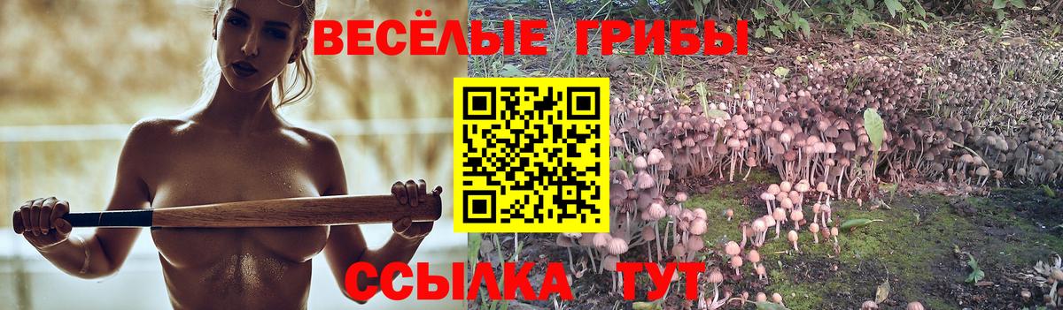 Псилоцибиновые грибы Cubensis  Вход с VPN  Вичуга 