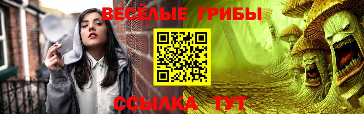 Псилоцибиновые грибы Magic Shrooms Вичуга
