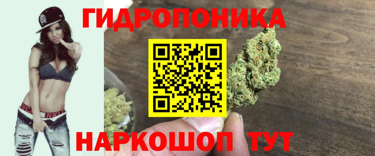 МАРИХУАНА OG Kush  Каннабис семена  Вичуга  Вход с VPN  Каннабис конопля 